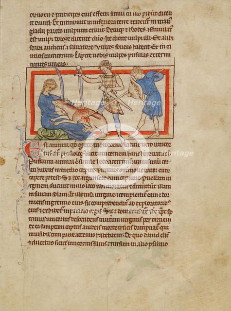 A Unicorn; Northumberland Bestiary, about 1250-1260. Creator: Unknown.