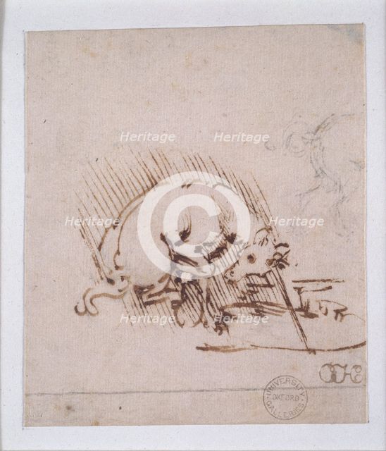 A Unicorn, c1472-1519 Artist: Leonardo da Vinci.