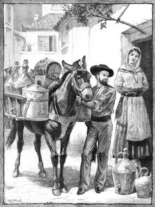 A vendor of oil and vinegar: a sketch near Lisbon, 1883. Creator: Eugène Froment