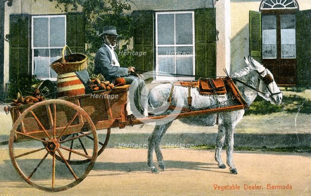 A vegetable dealer, Bermuda, c1900s. Artist: Unknown