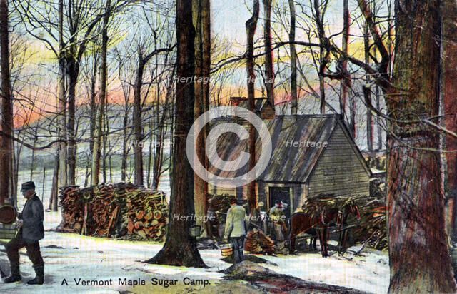 A Vermont maple sugar camp, USA, early 20th century. Artist: Unknown