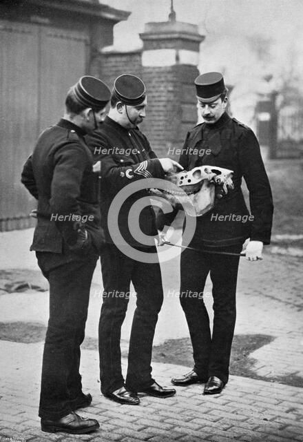 A veterinary demonstration, 1st Life Guards, 1896. Artist: Gregory & Co