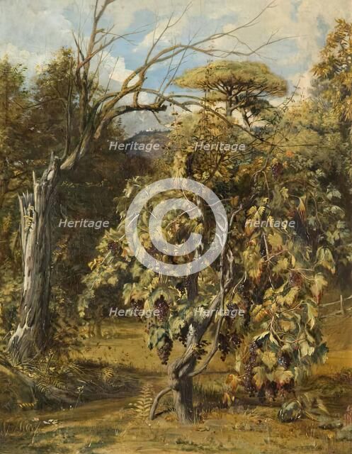 A Vineyard, Gensano, Rome, 1833 - 1838. Creator: Robert Scott Lauder.