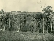 A Victorian Mountain Farm 1901. Creator: Unknown