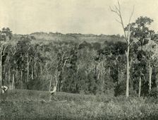 A Victorian Mountain Farm 1901. Creator: Unknown