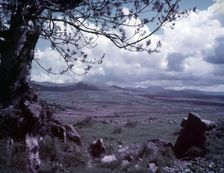 A view near Llanaelhaearn, Wales, c1955. Creator: Arthur Charles Kirby Ware