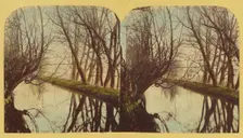 A View on the River Lea, In Essex, about 1860. Creator: London Stereoscopic & Photographic Co
