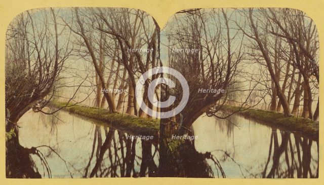 A View on the River Lea, In Essex, about 1860. Creator: London Stereoscopic & Photographic Co.