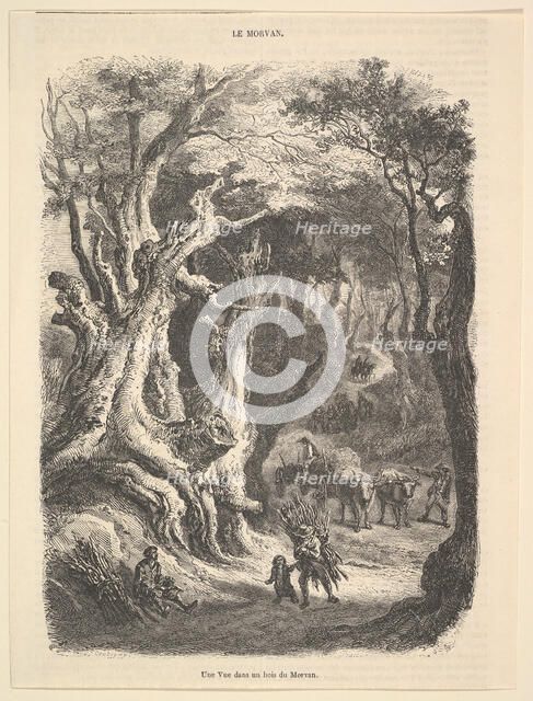 A View in the Forest of Morvan, 1837-66. Creator: Jean-Antoine Watteau.