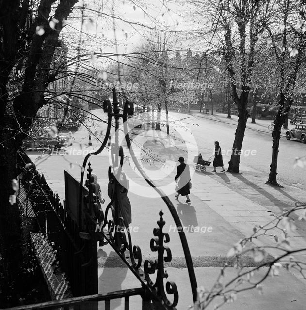A view south-west on South Grove, Highgate, London, 1955 - 1965. Creator: John Gay.