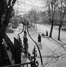 A view south-west on South Grove, Highgate, London, 1955 - 1965. Creator: John Gay