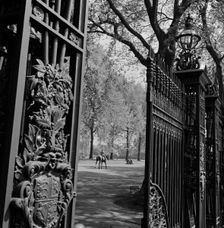 A view through one of the five pairs of elaborate cast iron gates, Queen's Gate, Hyde Park, 1955-65 Creator: John Gay