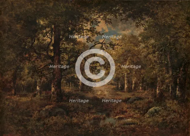 A Vista through Trees: Fontainebleau, 1873. Creator: Narcisse Virgile Diaz de la Pena.