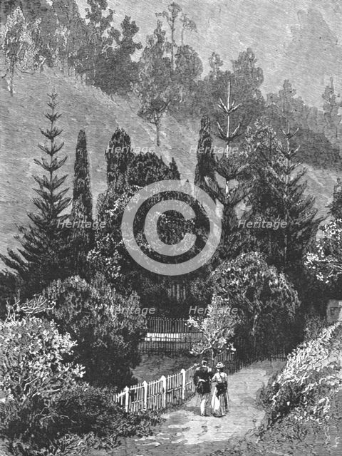 ''A Visit to the Island of St. Helena; Napoleon's Tomb', 1890. Creator: Unknown.