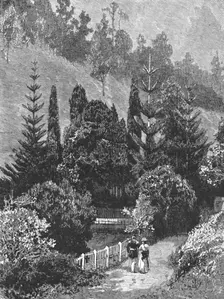 'A Visit to the Island of St. Helena; Napoleon's Tomb 1890. Creator: Unknown