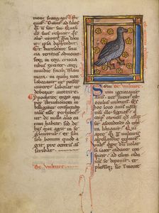 A Vulture; Bestiary, about 1270. Creator: Unknown