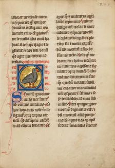 A Vulture; De Natura Avium; De Pastoribus et Ovibus; Bestiarium, 1277 or after. Creator: Unknown