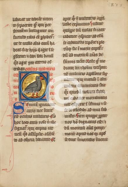 A Vulture; De Natura Avium; De Pastoribus et Ovibus; Bestiarium, 1277 or after. Creator: Unknown.