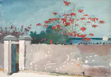 A Wall, Nassau, 1898. Creator: Winslow Homer