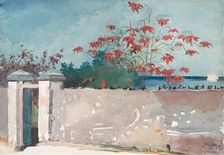 A Wall, Nassau, 1898. Creator: Winslow Homer
