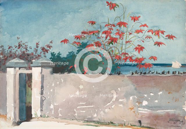 A Wall, Nassau, 1898. Creator: Winslow Homer.