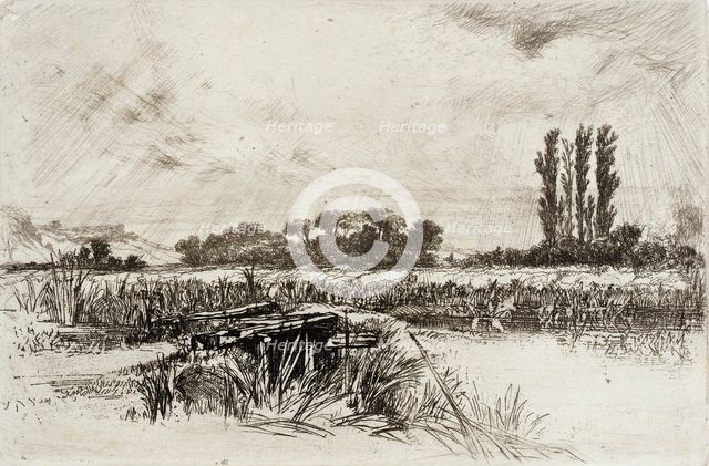 A Water Meadow, 1859. Creator: Francis Seymour Haden.