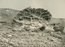 A Weathered Kenyte Boulder Near the Winter Quarters c1908, (1909)
