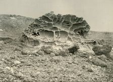 A Weathered Kenyte Boulder Near the Winter Quarters c1908, (1909)