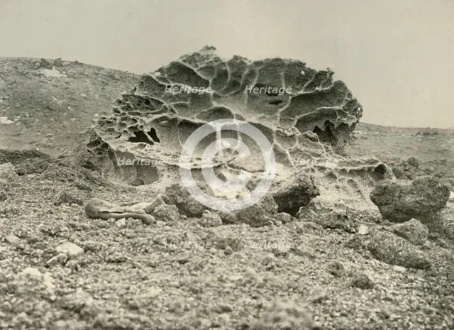 'A Weathered Kenyte Boulder Near the Winter Quarters', c1908, (1909).  Artist: Unknown.