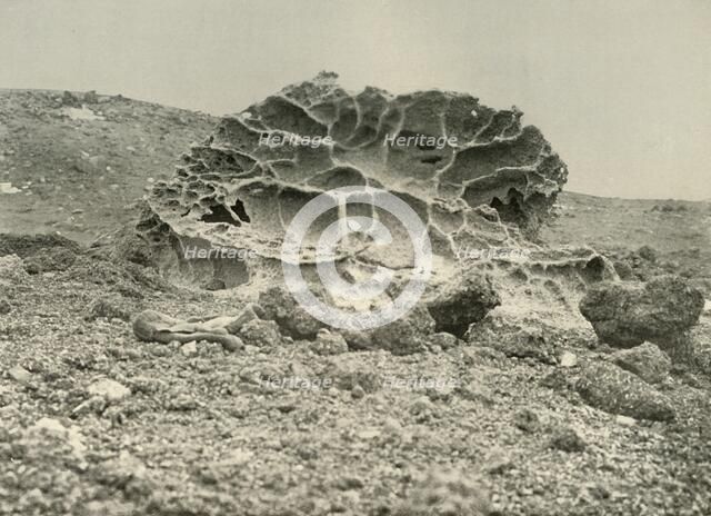 'A Weathered Kenyte Boulder Near the Winter Quarters', c1908, (1909).  Artist: Unknown.