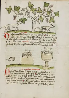 A Weasel and Several Captured Mice; Fables, third quarter of 15th century. Creator: Unknown