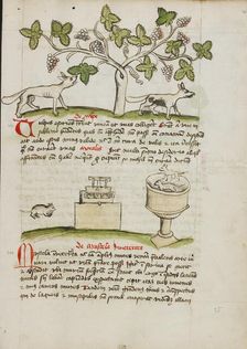 A Weasel and Several Captured Mice; Fables, third quarter of 15th century. Creator: Unknown