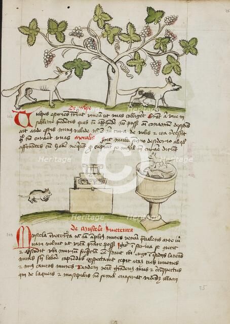 A Weasel and Several Captured Mice; Fables, third quarter of 15th century. Creator: Unknown.