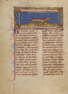 A Weasel; Bestiary, about 1270. Creator: Unknown