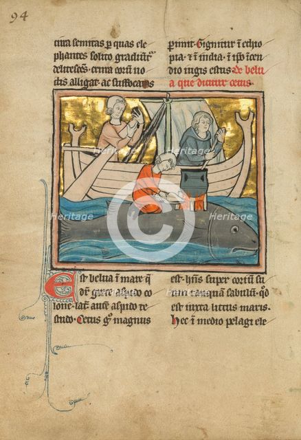 A Whale, 1277 or after. Creator: Unknown.