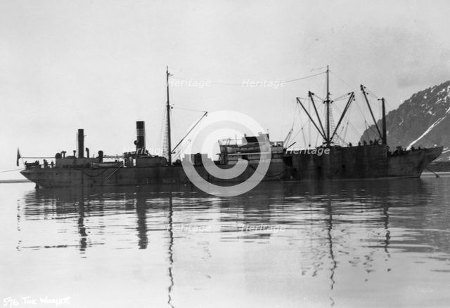 A whaler, Magdalene Bay, Spitzbergen, Norway, 1929. Artist: Unknown
