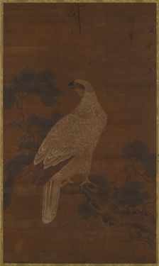 A White eagle on a pine branch, Ming or Qing dynasty, (17th century?). Creator: Unknown