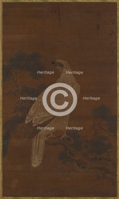 A White eagle on a pine branch, Ming or Qing dynasty, (17th century?). Creator: Unknown.