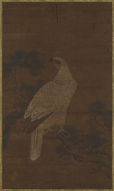 A White eagle on a pine branch, Ming or Qing dynasty, (17th century?). Creator: Unknown