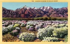 A Winter Scene on the Mojave Desert 1931