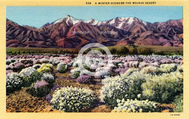 'A Winter Scene on the Mojave Desert', 1931. Artist: Unknown