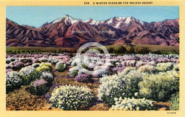 'A Winter Scene on the Mojave Desert', 1931. Artist: Unknown