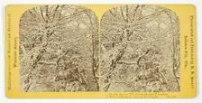 A Winter's Morning. Among the Boughs, 1870/1908. Creator: Henry Hamilton Bennett