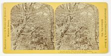 A Winter's Morning. Among the Boughs, 1870/1908. Creator: Henry Hamilton Bennett