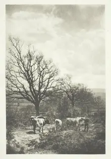A Windy Corner, 1880/90, printed January 1891. Creator: B. Gay Wilkinson