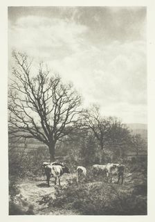A Windy Corner, 1880/90, printed January 1891. Creator: B. Gay Wilkinson