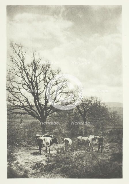 A Windy Corner, 1880/90, printed January 1891. Creator: B. Gay Wilkinson.