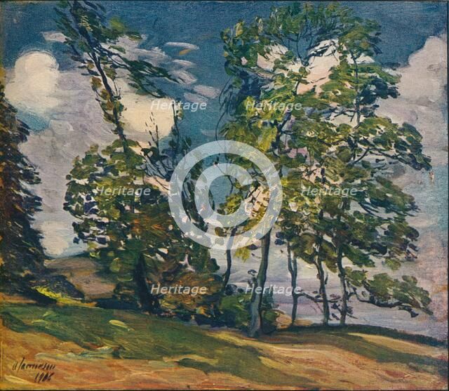 'A Windy Day', c1906. Artist: Alexander Jamieson.