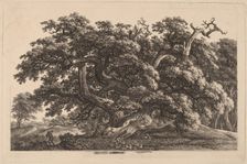 A Widely Expanding Oak Tree, 1825/1830. Creator: Carl Wilhelm Kolbe the elder