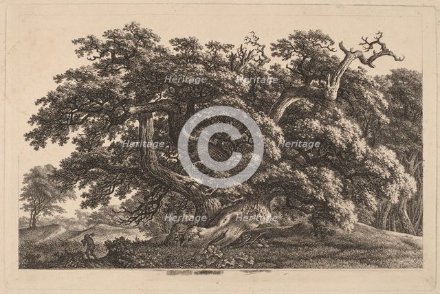 A Widely Expanding Oak Tree, 1825/1830. Creator: Carl Wilhelm Kolbe the elder.